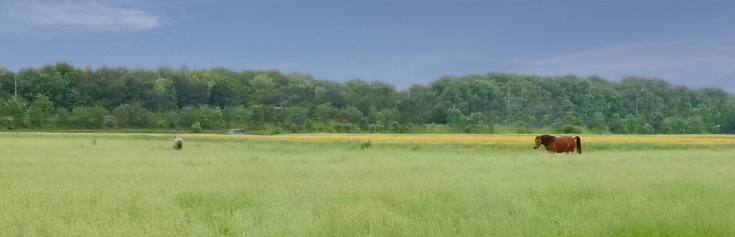 Open spaces